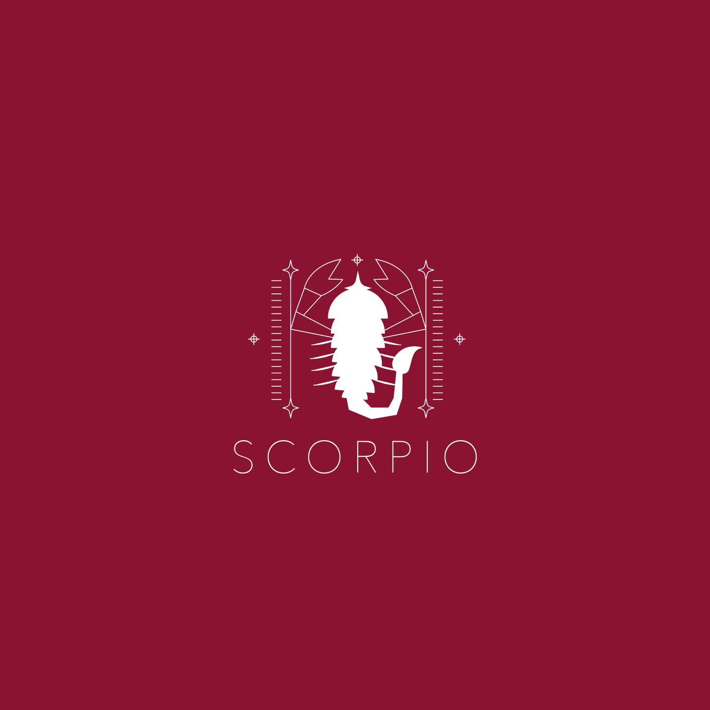 Sara Ali Cosmetics Scorpio plum red lipstick