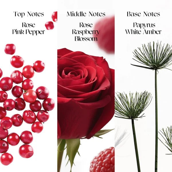 O.TWO.O Wild Rose Wonderland Perfume 50 ml – Rose Floral Eau de Parfum UAE