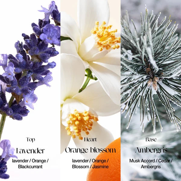 O.TWO.O Libre Blossom Wonderland Perfume – Floral Orange Blossom & Lavender EDP UAE